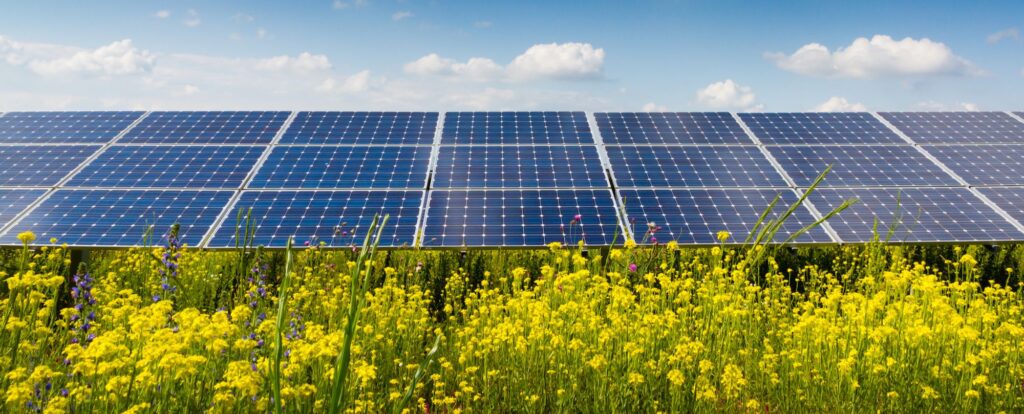 Crystal Hill Solar